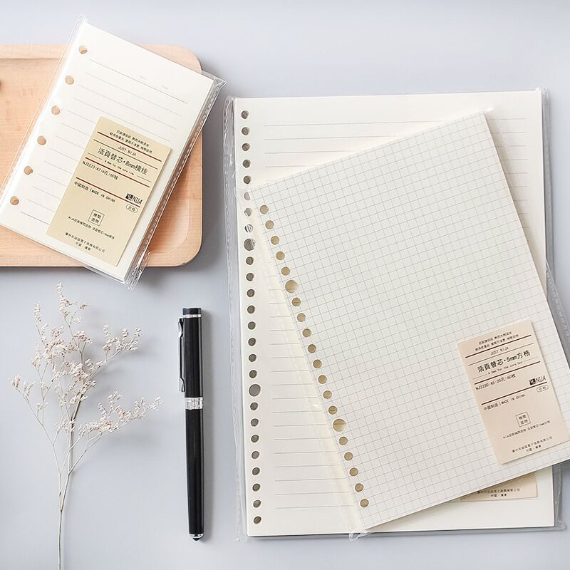 Recambio de cuaderno de hojas  - A5 Spiral Dotted Grid Notebook reseña y precio