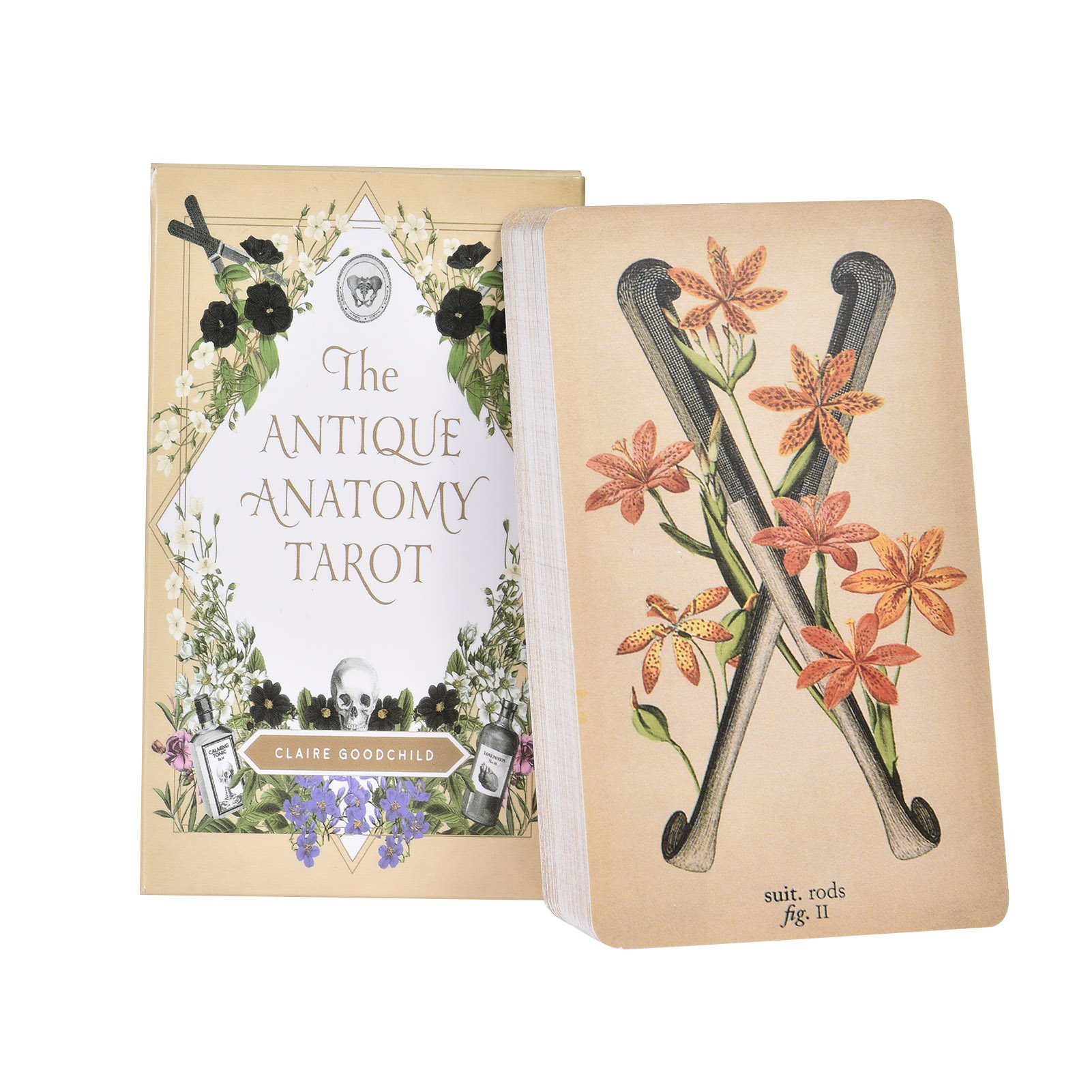 Las Cartas del Tarot de Anatom - Tarot Deck With Guidebook reseña y precio